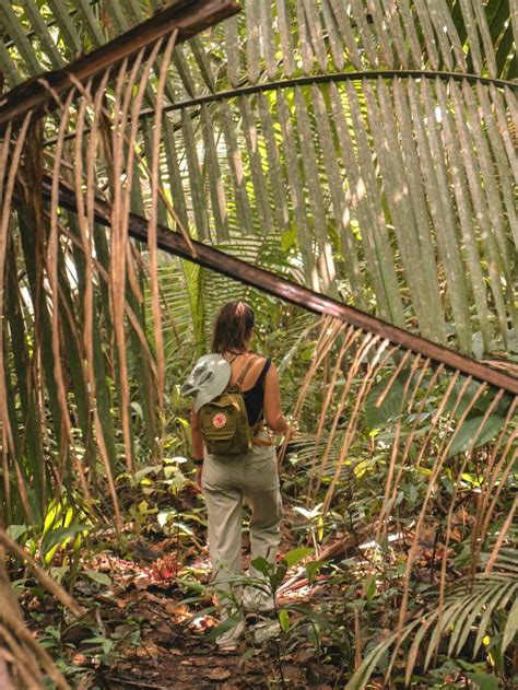 Travel to the Amazon tips