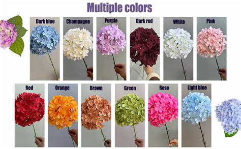 Amazon Uv Flowers