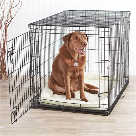 amazon wire dog crate