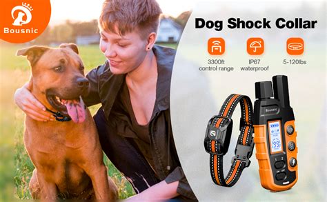 Amazon.ca Dog Shock Collar