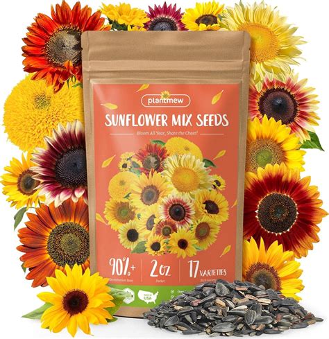 Amazon.com Sunflower Seeds