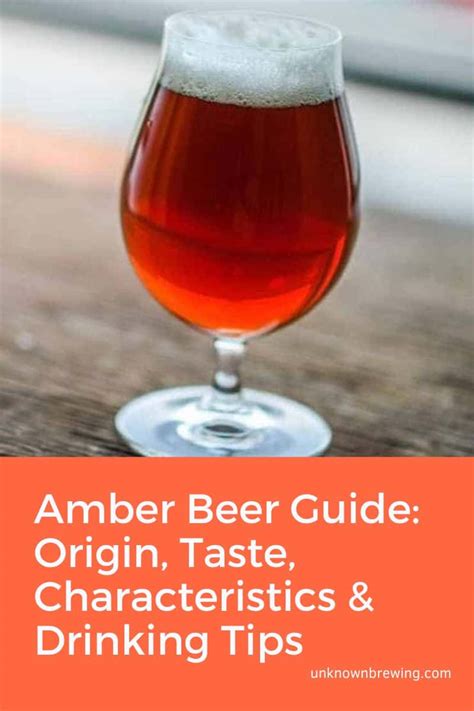 Amber Beer Que Es