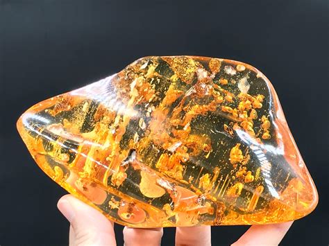 amber fossils for sale amazon