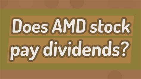 amd stock dividend
