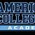 american collegiate academy florida