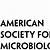 american society for microbiology if