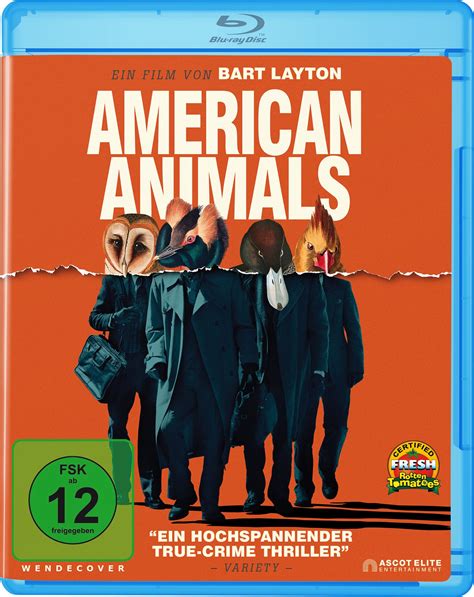 Bluray Kritik American Animals (Full HD Review, Rezension, Bewertung)
