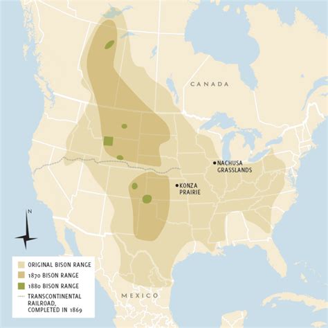 american bison range map