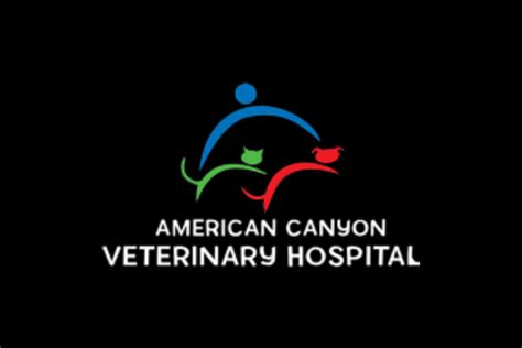 american canyon vet hospital