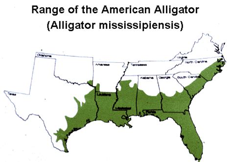 american crocodile distribution map