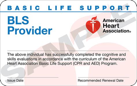 american heart assoc bls certification