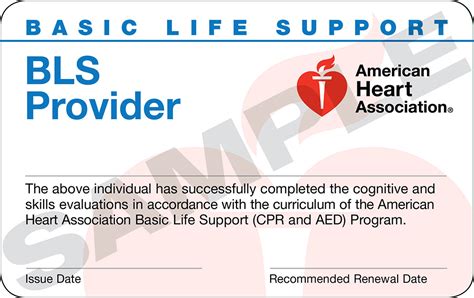 american heart association bls card