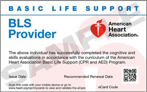 american heart association bls renewal card