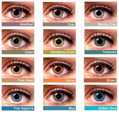 american optical and contact lenses