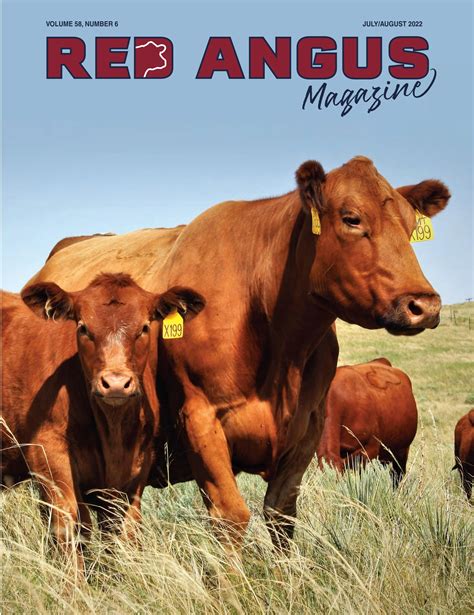 american red angus association