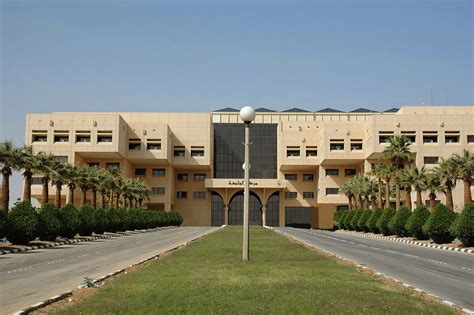 american university in saudi arabia