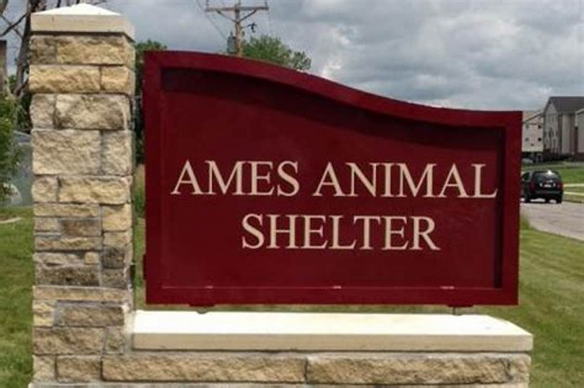 ames-iowa-animal-shelter