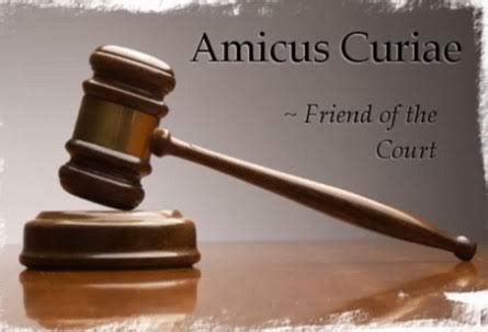 amicus curiae refers to