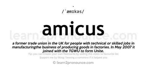 amicus meaning in english