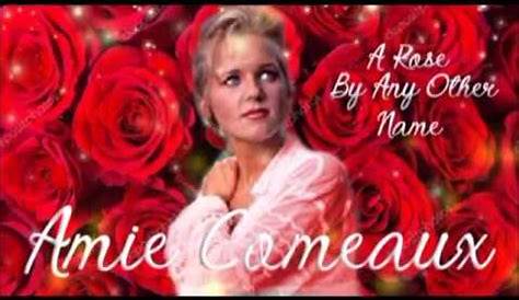 Amie Comeaux A Single Crimson Rose Lyrics Metrolyrics