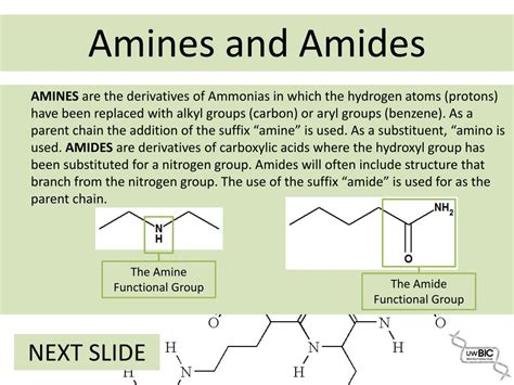 amine and amide