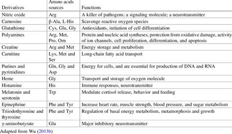 Amino Acid Derivatives Function