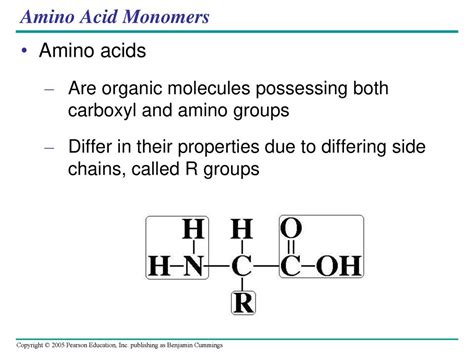 Amino Acids Differ From Monomers