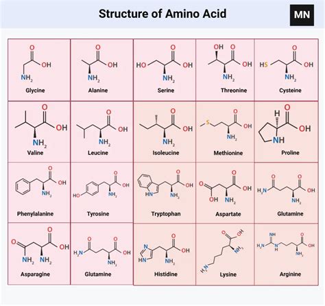 Amino Acids Specific Example