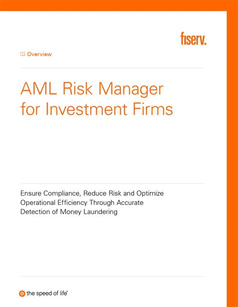aml risk manager