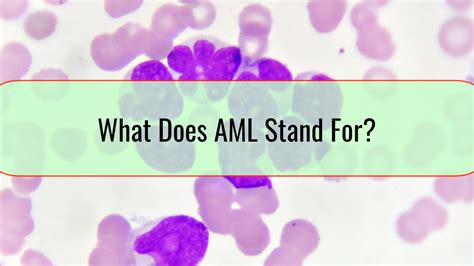 aml stands for