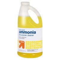 home.furnitureanddecorny.com:ammonia carpet cleaning solution