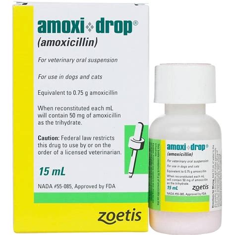 amoxi drops for cats dosage