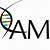 amp association of molecular pathology