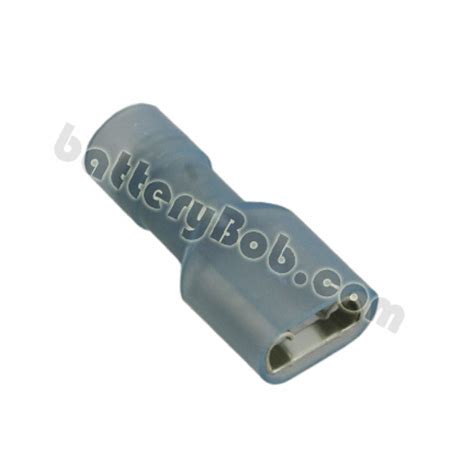 Amp Female Disconnects