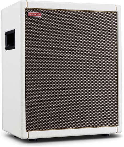 Amp Speaker Cabinet