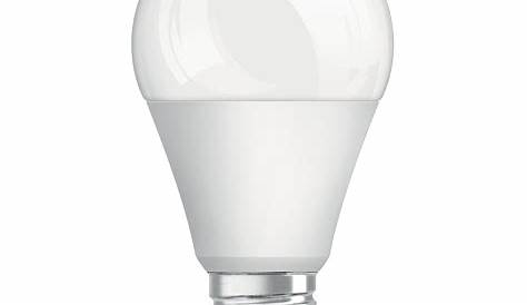 Ampoule 100w LED STANDARD 100W E27 PHILIPS Le Lot De 2