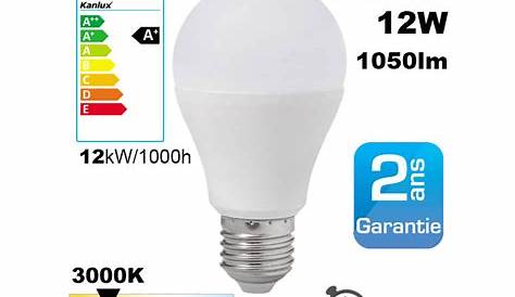 RYET Ampoule LED E27 1000 lumen globe opalin IKEA
