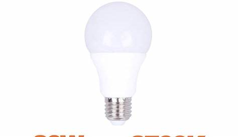 Ampoule Led E27 20w LED 20W (180W) Globe Blanc Jour 6000ï¿½K 7434B
