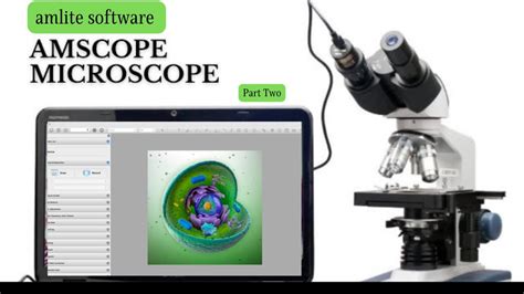 AmScope 40X2500X LED Monocular Compound Microscope with 3D Stage