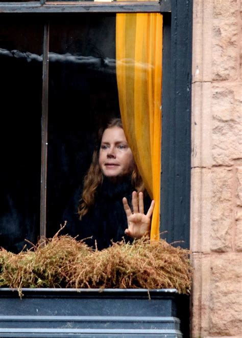 amy adams window movie