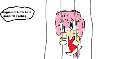 amy rose kidnapped fanfiction