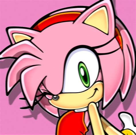 Top Amy Rose PFP Ideas for 2023