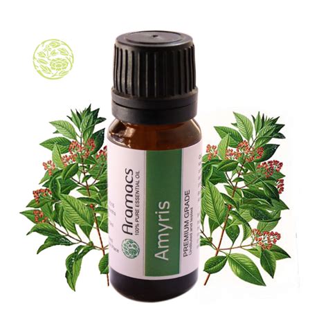 Plant Therapy Amyris Essential Oil 100 Pure, Undiluted eBay