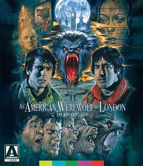 an american werewolf in london arrow video