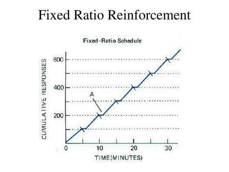 an example of fixed ratio reinforcement schedule