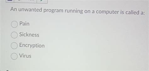 an unwanted program running on a computer is called a