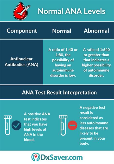 Understanding ANA Test Normal Range for Autoimmune Health