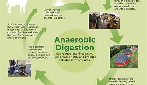 Anaerobic digestion and composting pathway Download