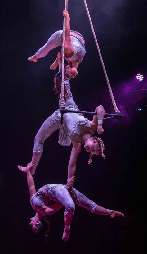 anal 3 acrobats
