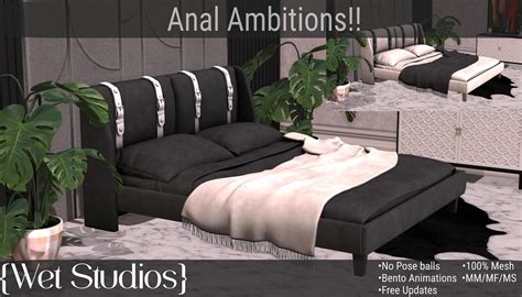 anal ambitions